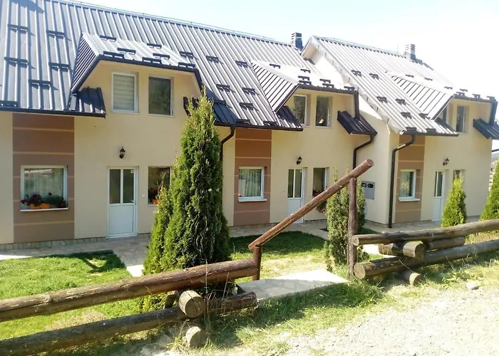 Stars 科帕奥尼克