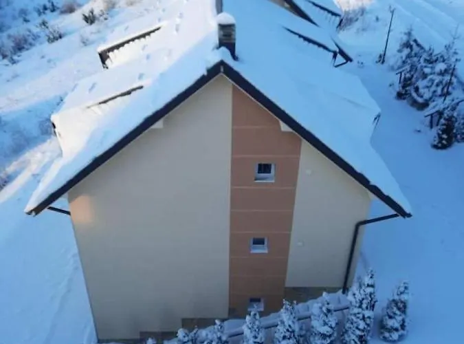 Stars * 科帕奥尼克