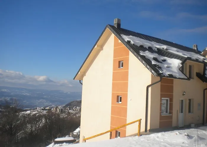 Stars * 科帕奥尼克