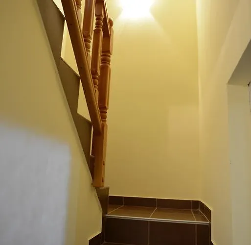 Stars 科帕奥尼克