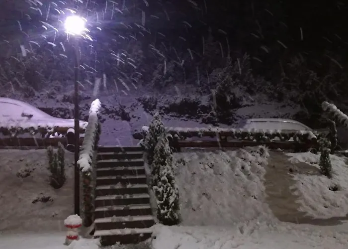 Stars 科帕奥尼克