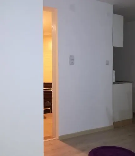 Stars 科帕奥尼克