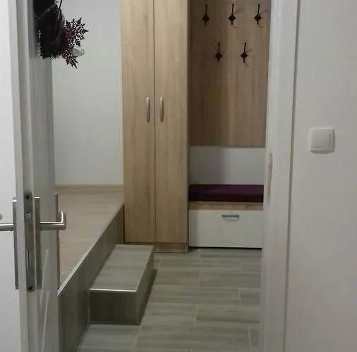 Stars * 科帕奥尼克