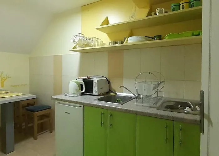 公寓 Stars 科帕奥尼克