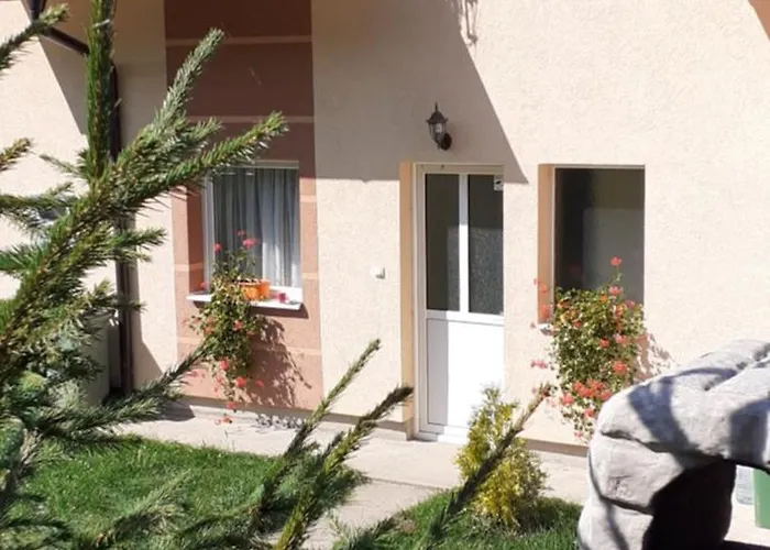 Stars * 科帕奥尼克