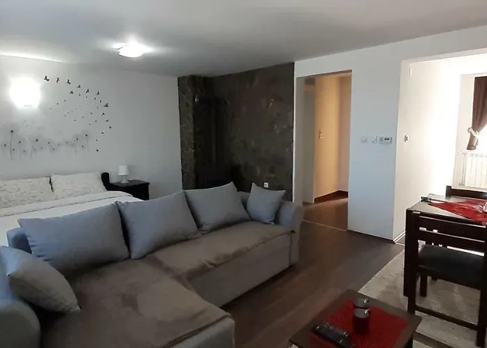 公寓 Stars 科帕奥尼克