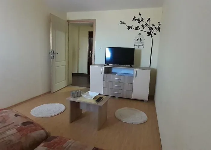 Stars * 科帕奥尼克